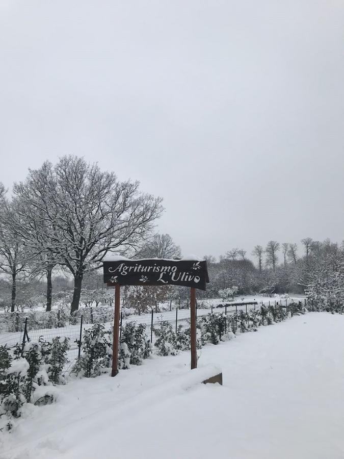 Agriturismo L'Ulivo Падула Экстерьер фото