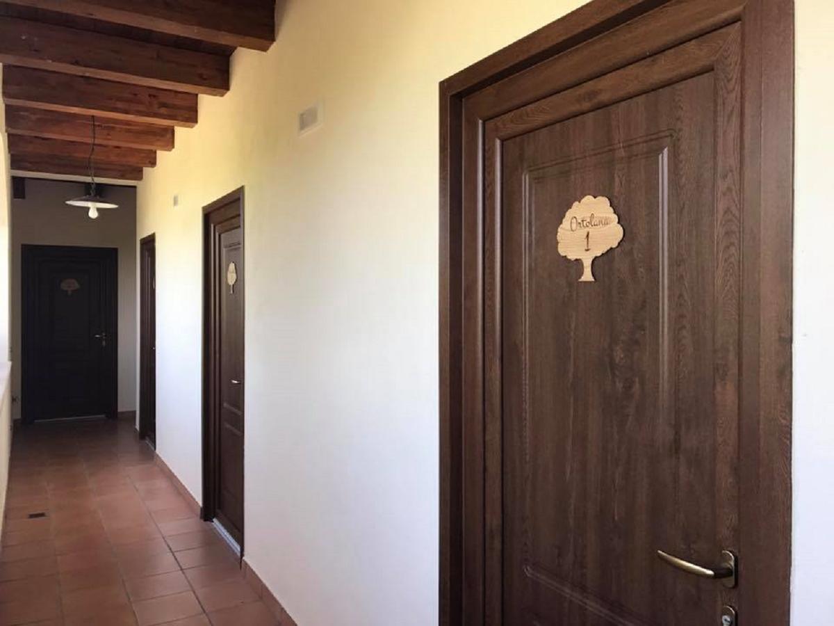 Agriturismo L'Ulivo Падула Экстерьер фото